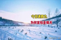 <b>天进四九白叟言“四九好天一年安逸”</b>
