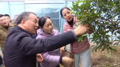 防寒抗冻模式！“浙”里各地为农做物“